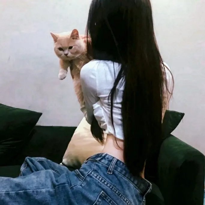法兰西